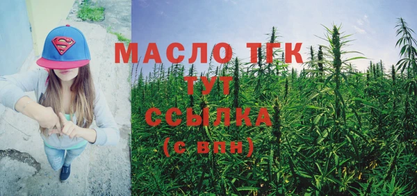 СК Инсар