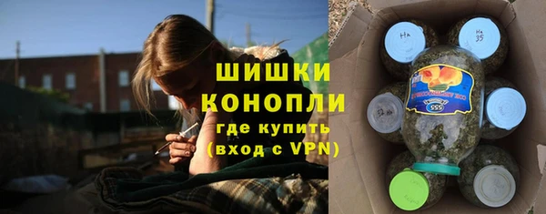 СК Инсар