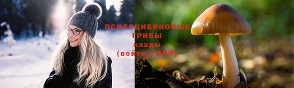 гашик Зеленодольск